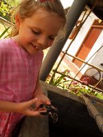 Klikni pro zv�t�en� na obrazovku