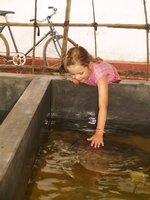 Klikni pro zv�t�en� na obrazovku