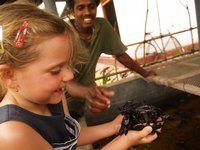 Klikni pro zv�t�en� na obrazovku