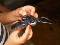 Klikni pro zv�t�en� na obrazovku