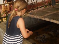 Klikni pro zv�t�en� na obrazovku