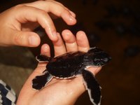 Klikni pro zv�t�en� na obrazovku