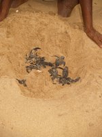 Klikni pro zv�t�en� na obrazovku