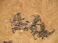 Klikni pro zv�t�en� na obrazovku