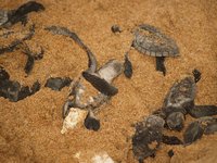 Klikni pro zv�t�en� na obrazovku