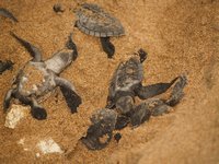 Klikni pro zv�t�en� na obrazovku