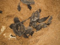 Klikni pro zv�t�en� na obrazovku