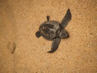 Klikni pro zv�t�en� na obrazovku