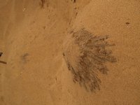 Klikni pro zv�t�en� na obrazovku