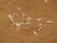 Klikni pro zv�t�en� na obrazovku