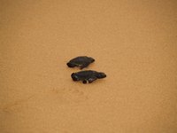 Klikni pro zv�t�en� na obrazovku