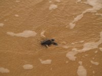 Klikni pro zv�t�en� na obrazovku