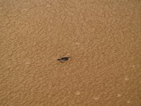 Klikni pro zv�t�en� na obrazovku