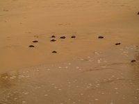 Klikni pro zv�t�en� na obrazovku