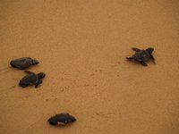 Klikni pro zv�t�en� na obrazovku