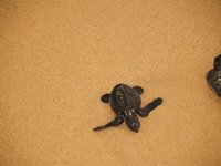 Klikni pro zv�t�en� na obrazovku