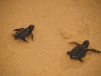 Klikni pro zv�t�en� na obrazovku