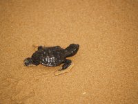 Klikni pro zv�t�en� na obrazovku