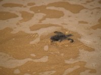 Klikni pro zv�t�en� na obrazovku