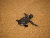 Klikni pro zv�t�en� na obrazovku