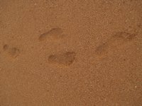 Klikni pro zv�t�en� na obrazovku