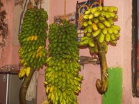 Klikni pro zv�t�en� na obrazovku