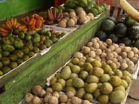 Klikni pro zv�t�en� na obrazovku