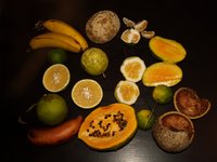 Klikni pro zv�t�en� na obrazovku