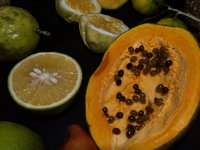 Klikni pro zv�t�en� na obrazovku