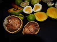 Klikni pro zv�t�en� na obrazovku