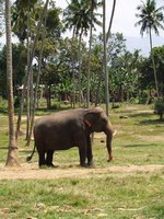 Klikni pro zv�t�en� na obrazovku