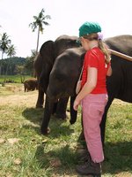 Klikni pro zv�t�en� na obrazovku