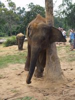 Klikni pro zv�t�en� na obrazovku