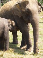 Klikni pro zv�t�en� na obrazovku