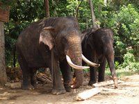 Klikni pro zv�t�en� na obrazovku