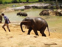 Klikni pro zv�t�en� na obrazovku