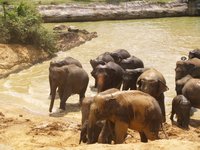 Klikni pro zv�t�en� na obrazovku