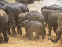 Klikni pro zv�t�en� na obrazovku