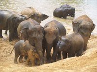 Klikni pro zv�t�en� na obrazovku