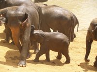 Klikni pro zv�t�en� na obrazovku