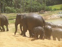 Klikni pro zv�t�en� na obrazovku