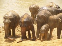 Klikni pro zv�t�en� na obrazovku