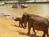 Klikni pro zv�t�en� na obrazovku