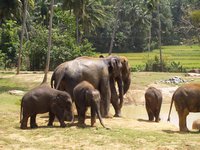 Klikni pro zv�t�en� na obrazovku