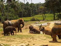 Klikni pro zv�t�en� na obrazovku