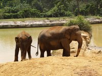 Klikni pro zv�t�en� na obrazovku