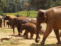 Klikni pro zv�t�en� na obrazovku