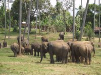 Klikni pro zv�t�en� na obrazovku