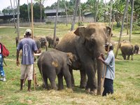 Klikni pro zv�t�en� na obrazovku