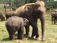 Klikni pro zv�t�en� na obrazovku